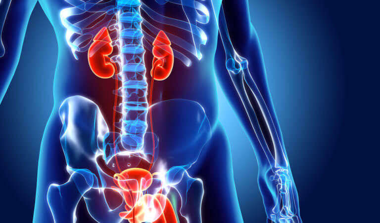 UROLOGY